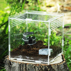 Clear Acrylic Reptile Feeding Box Stackable and Buckle Splicing Box for Scorpion Spider Frog