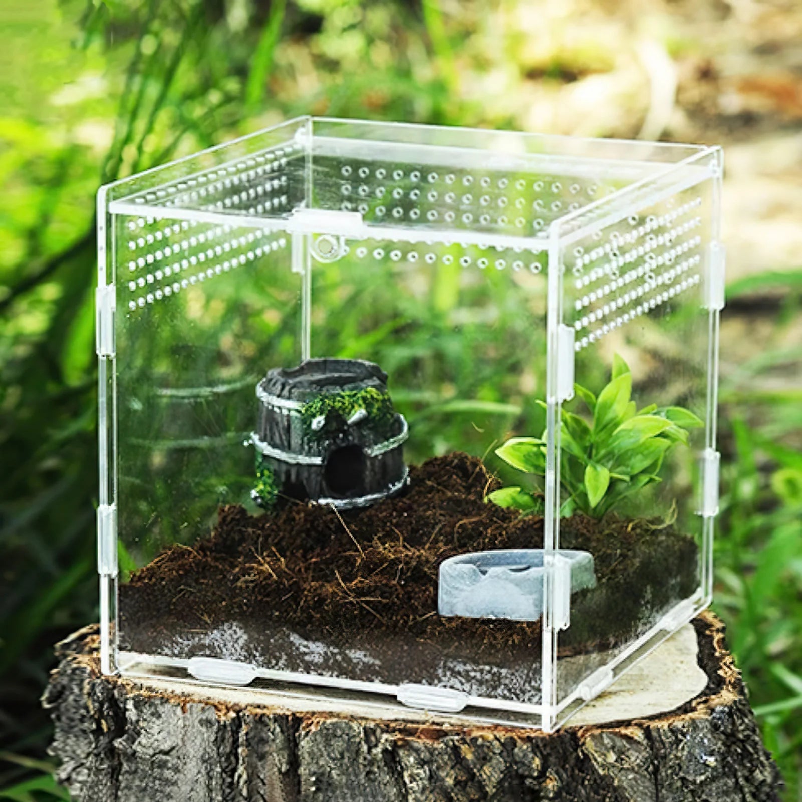Clear Acrylic Reptile Feeding Box Stackable and Buckle Splicing Box for Scorpion Spider Frog