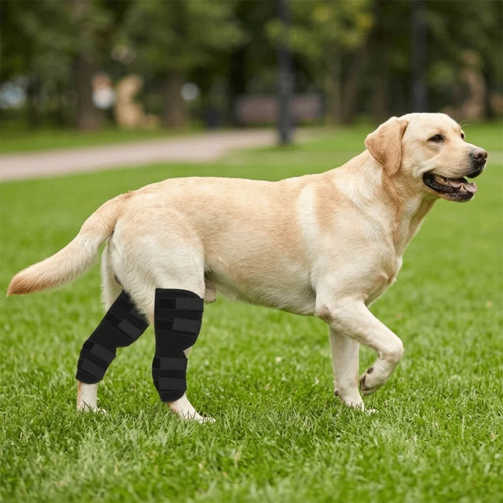 Dog Leg Recovery Sleeve (Breathable, Anti-Lick, Stretchy Fabric)