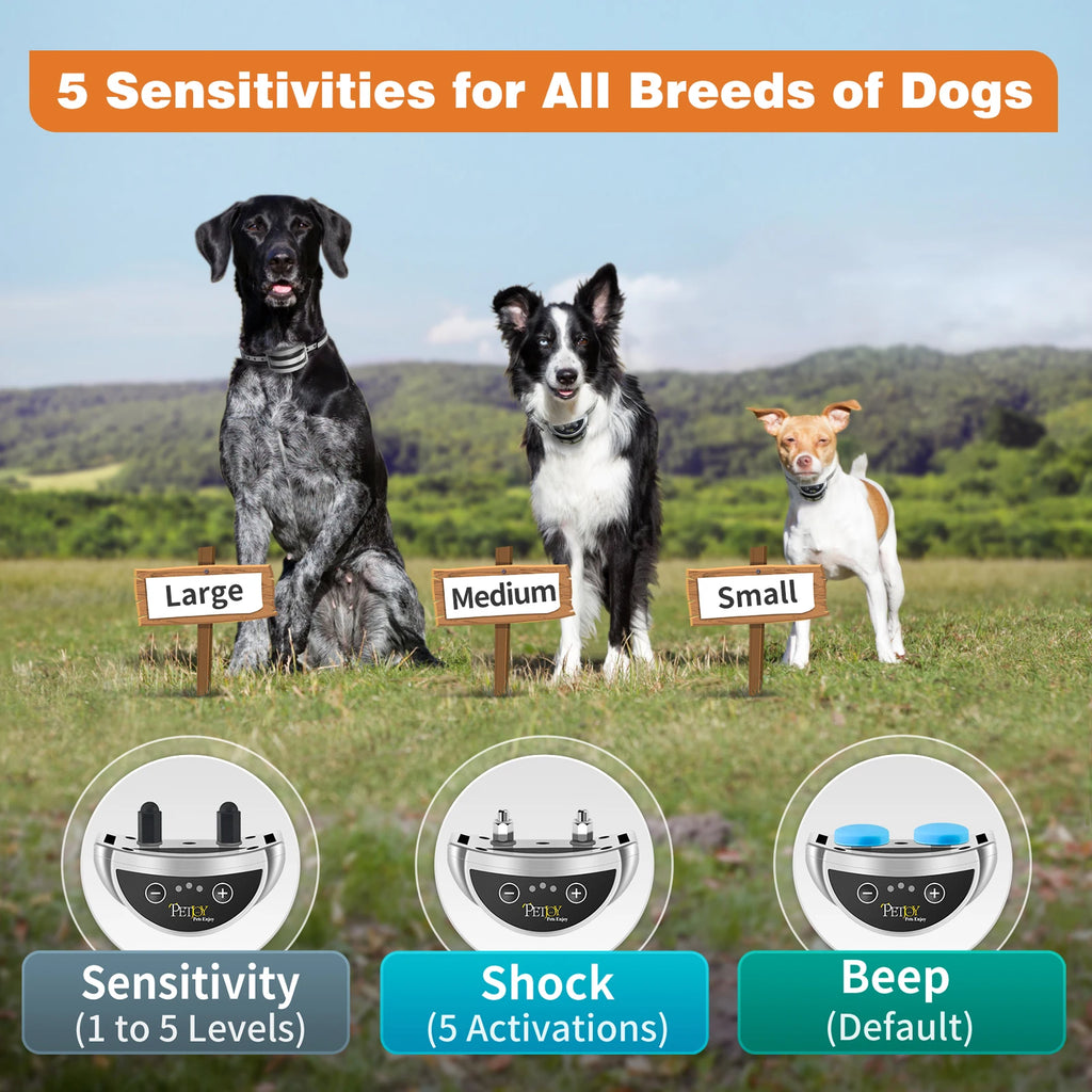 No-Bark Training Collar (2-Pack)