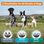 No-Bark Training Collar (2-Pack)