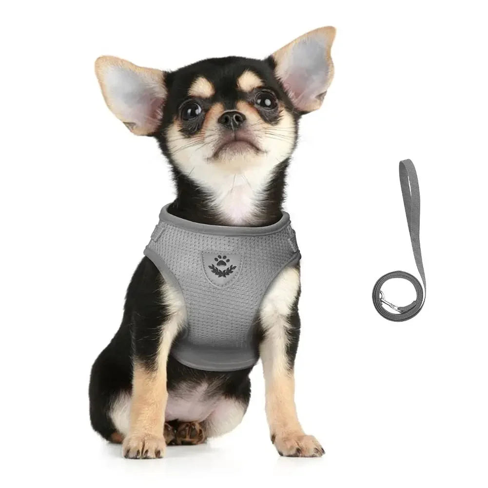 Reflective Escape-Proof Mesh Cat Harness & Leash Set — Adjustable Vest for Cats, Kittens & Small Dogs