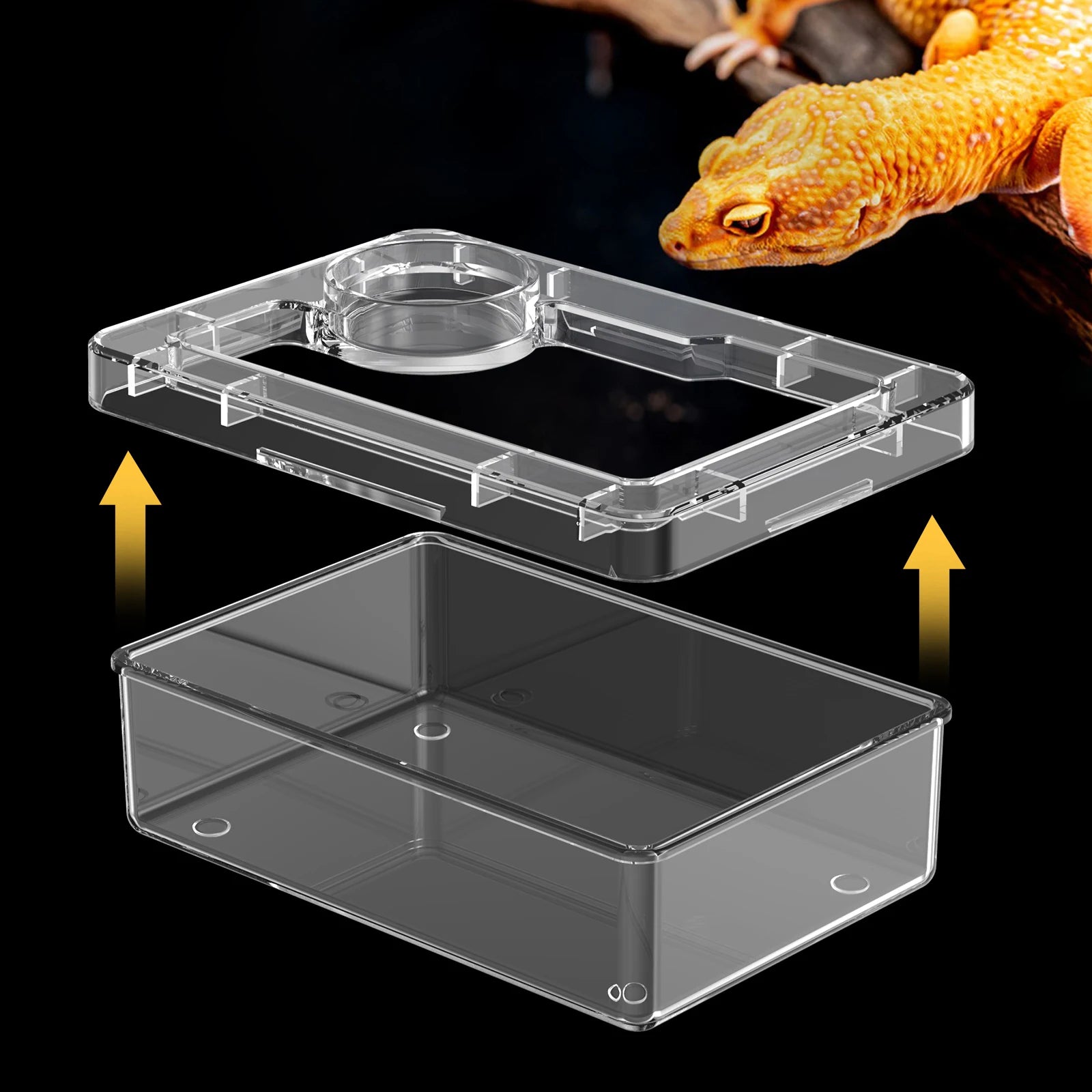 Feeding Bowls and Water Bowls for Reptile Lizards and Geckos to Prevent Tenebrio Molitor and Blaptica Dubia from Escaping