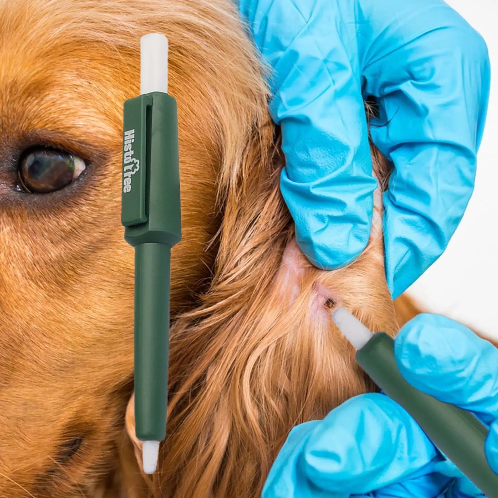 Pet Tick Remover Pen Pet Flea Control Professional Or Family Durable Waterproof Portable Humans Tick Removal Pen For Outdoor