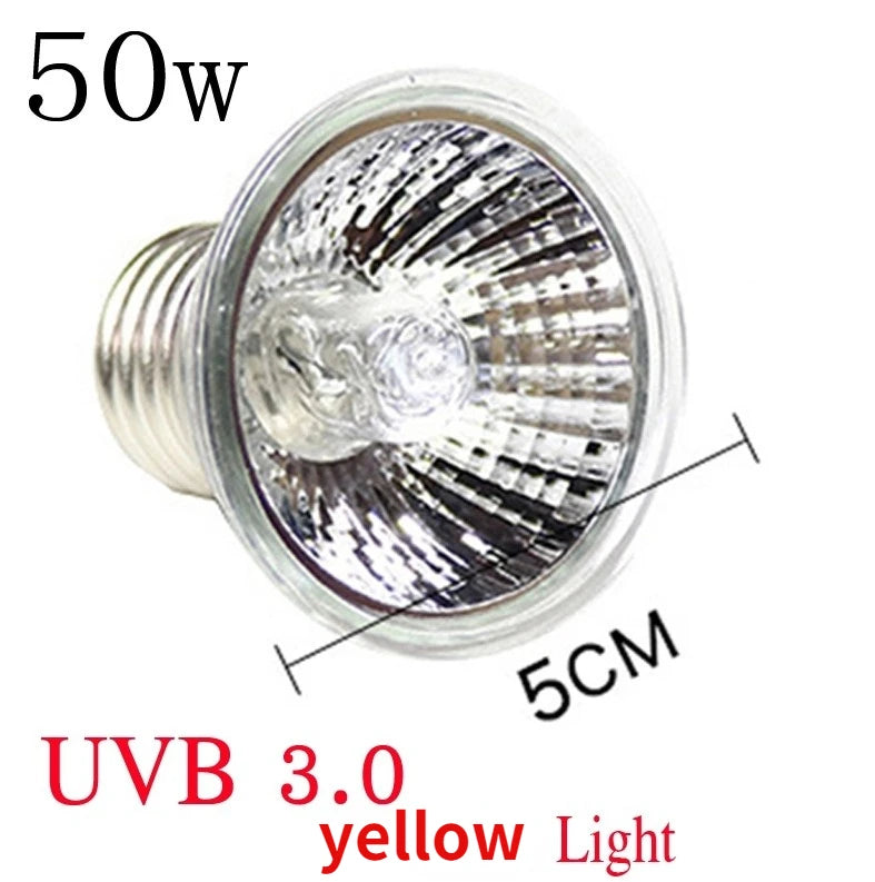 220V 25/50/75W UVA+UVB Reptile Lamp Bulb Turtle Basking UV Light Bulbs Heating Lamp Amphibians Lizards Temperature Controller