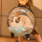 Portable Cat Bag for Going Out Large Capacity Transparent Breathable Pet Trolley Case Cat Travel Bag Pet Supplies Cat nest