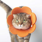 Soft EVA Flower-Shaped Pet Recovery Collar — Anti-Lick & Anti-Bite Wound Protection Cover