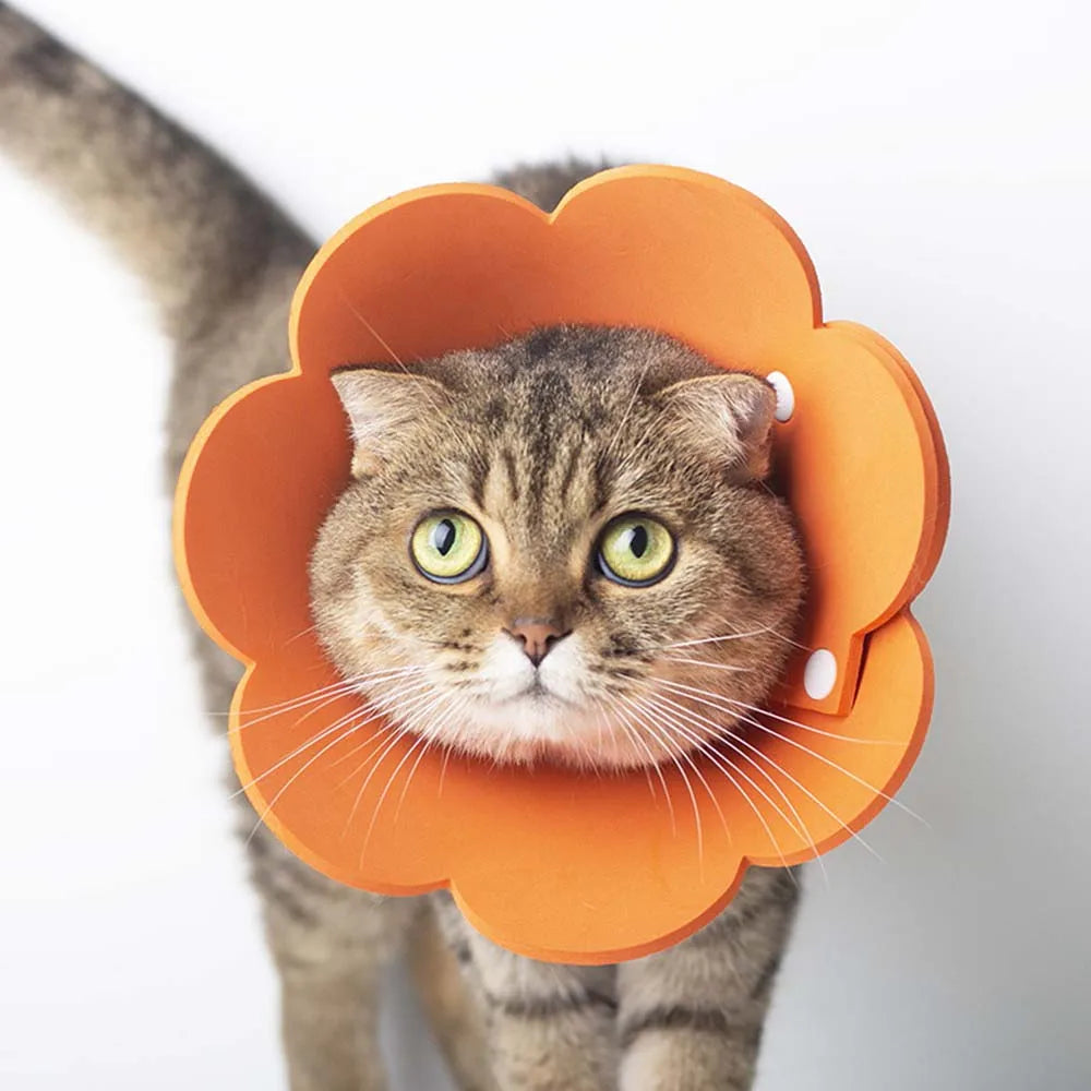 Soft EVA Flower-Shaped Pet Recovery Collar — Anti-Lick & Anti-Bite Wound Protection Cover