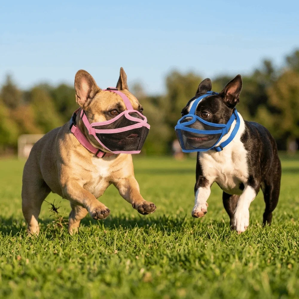 Short Snout Dog Muzzle for Flat-Faced Breeds (Lightweight, Adjustable)