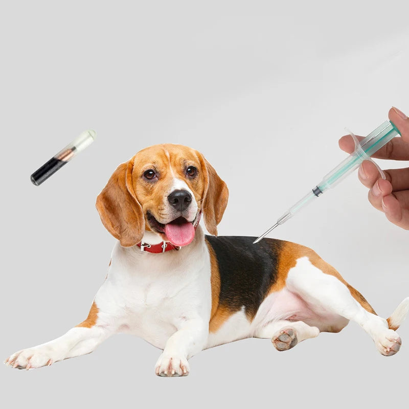 Pet Microchip Implant Syringes for Dogs, Cats, Horses & Fish