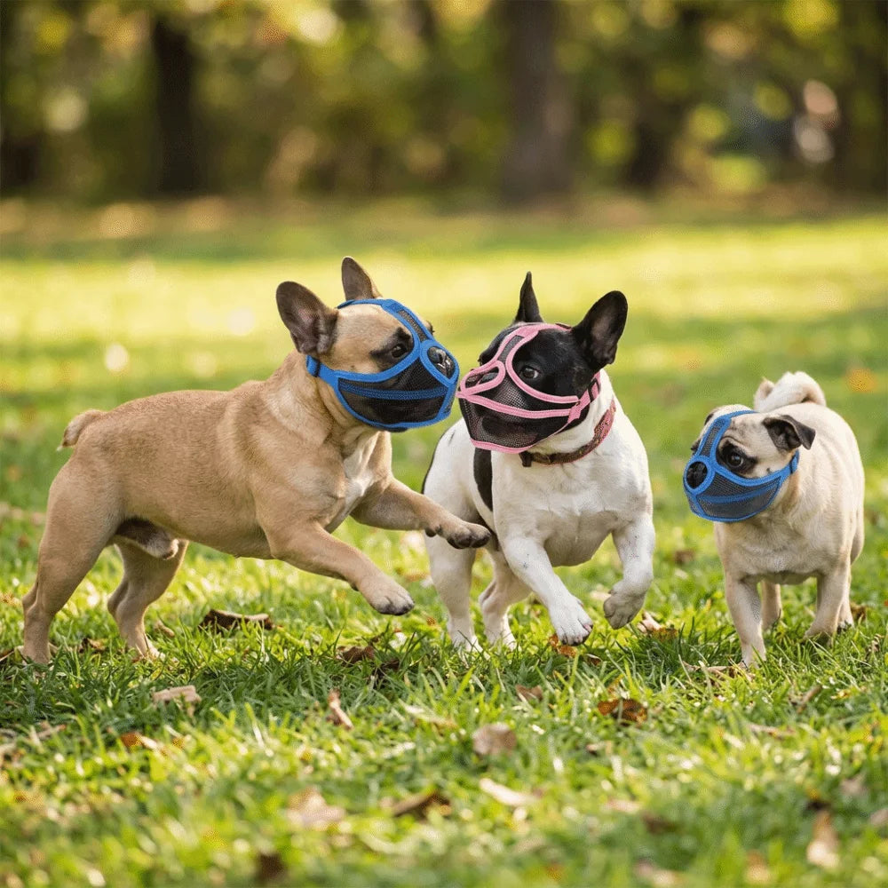 Easy Wear Short Nose Fit Dog Muzzle Adjustable Lightweight Bulldog Muzzle Flexible Breathable Pug Muzzle Daily Walk