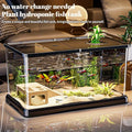 Heavy-Duty Large Transparent Aquarium Tank with Lid (Spill-Proof, Clear View, Secure Top)