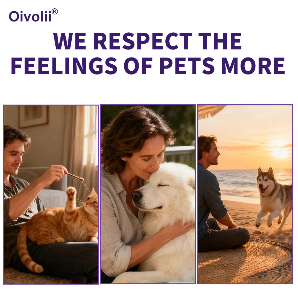 Pet Teeth Cleaning Kit Enzymatic Toothpaste for Cats Dogs with Toothbrush Finger Brush Reduce Plaque Tartar Blueberry Flavor