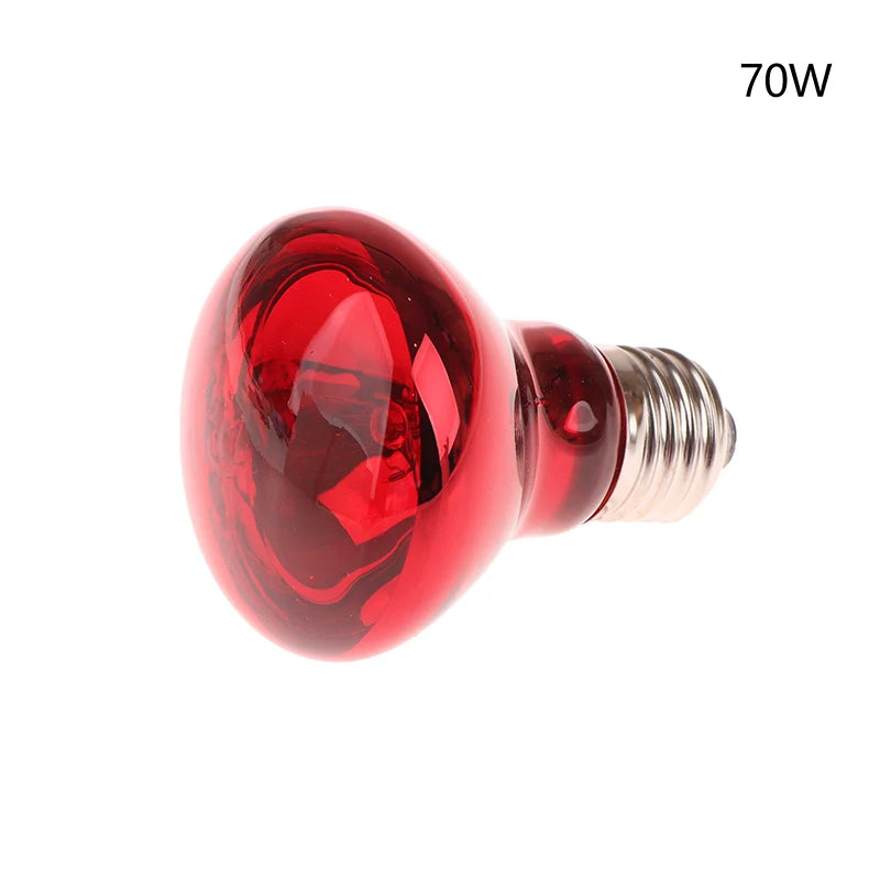 E27 UVA Poultry Bulb Infrared Night Light Day Poultry Heating Bulb For Plants Amphibians Reptile Pets 25/40/50/60/75/100W