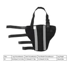 Adjustable Dog Hind Leg Brace (Joint Stabilizing, Breathable, XXS to L)