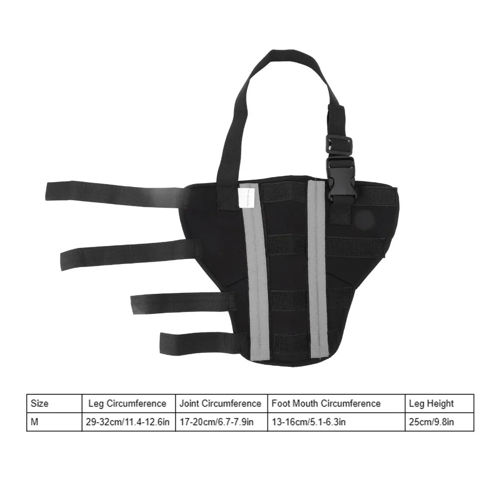 Adjustable Dog Hind Leg Brace (Joint Stabilizing, Breathable, XXS to L)