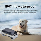 G12p 2G GPRS Smart Waterproof GPS Tracker Collar for Cats & Dogs - Universal Positioning Locator Device