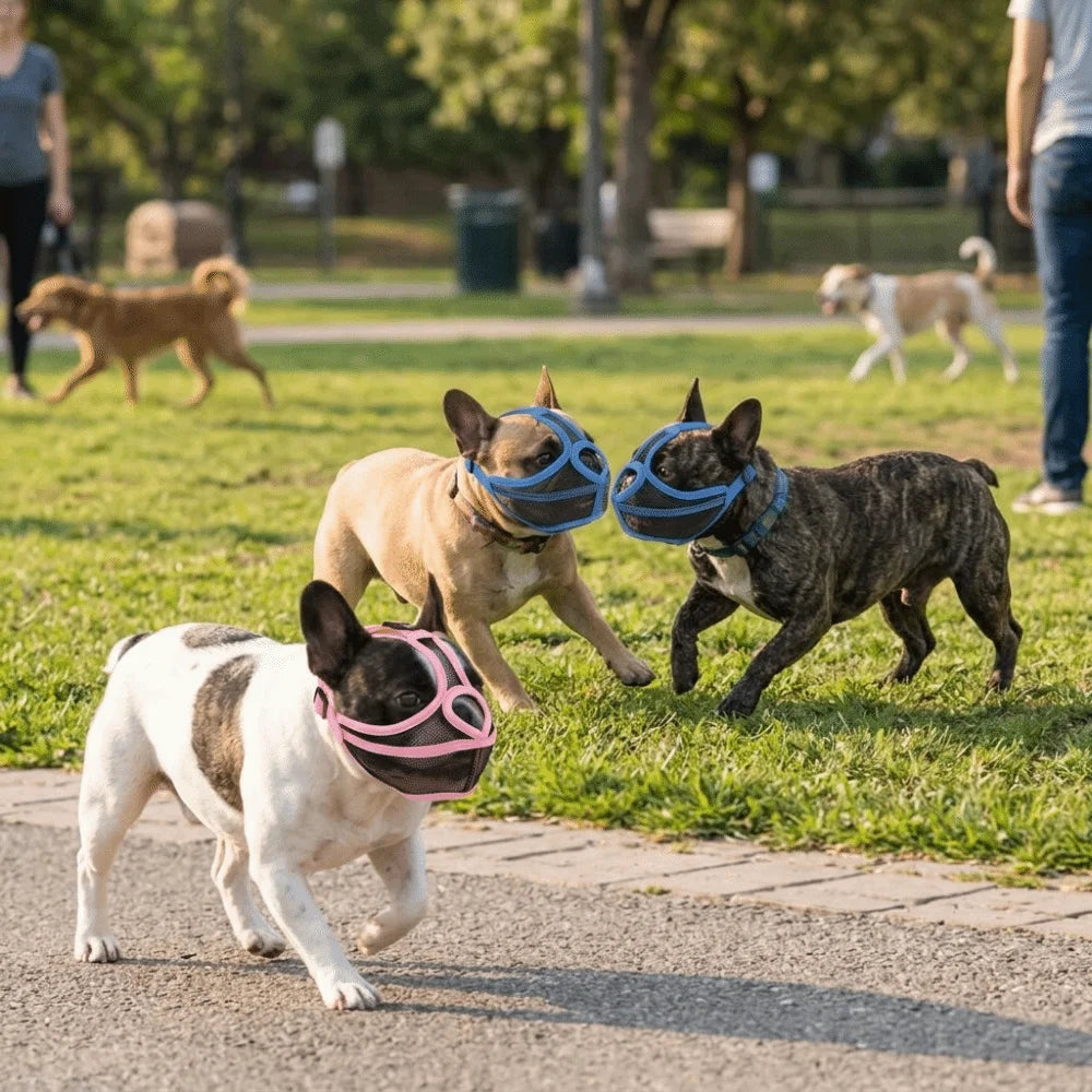 Short Snout Dog Muzzle for Flat-Faced Breeds (Lightweight, Adjustable)