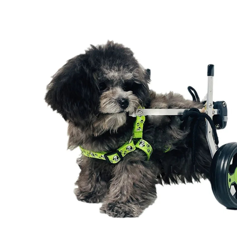 Metal 4-Wheel Dog Wheelchair for Disabled & Elderly Pets - Hind Leg Support Aid for Dogs & Cats