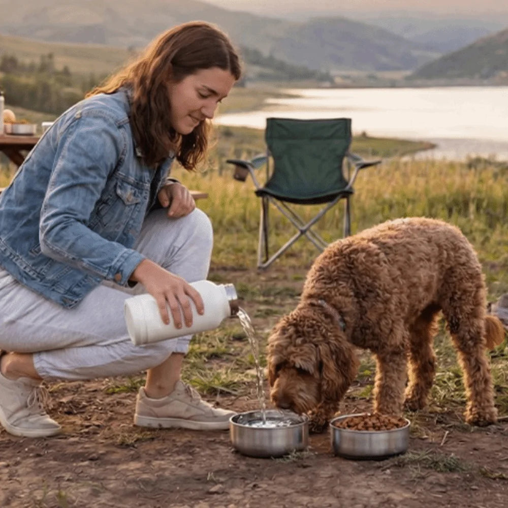 3 in 1 Stainless Steel Pet Water Bottle Multi-layered Detachable Dog Feeding Bottle Leak-proof 32Oz Pet Food Bottle