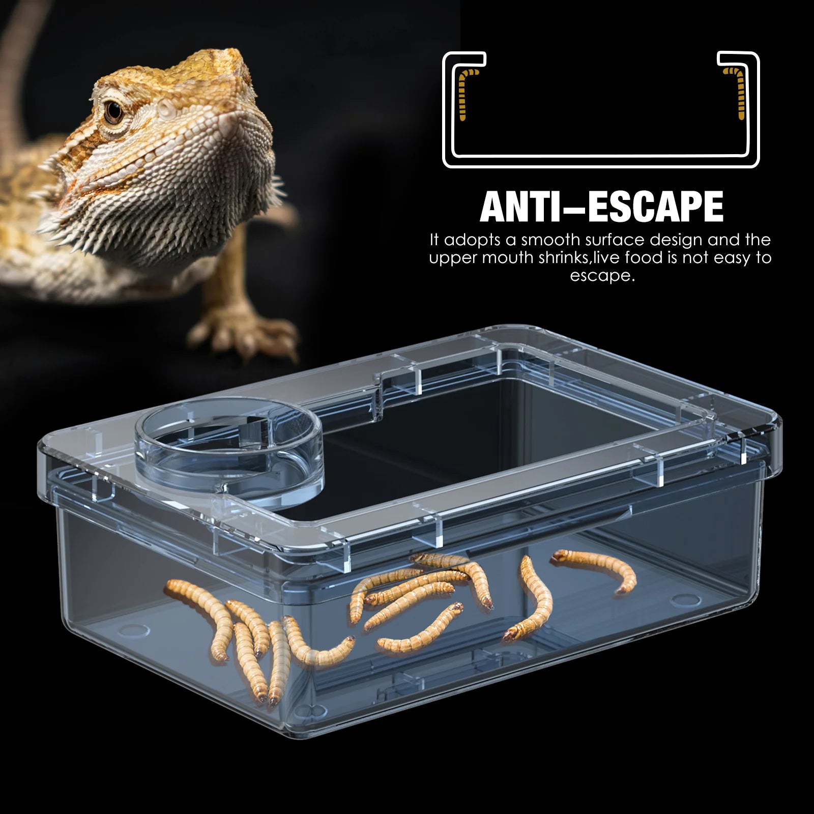 Feeding Bowls and Water Bowls for Reptile Lizards and Geckos to Prevent Tenebrio Molitor and Blaptica Dubia from Escaping