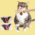 Natural Wood Knotweed Cat Teething Stick Set with Raffia & Sisal Rope
