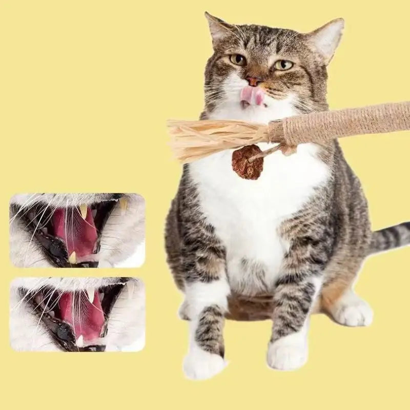 Natural Wood Knotweed Cat Teething Stick Set with Raffia & Sisal Rope