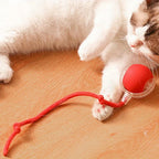 Smart Rolling Ball Toy with Faux Tail