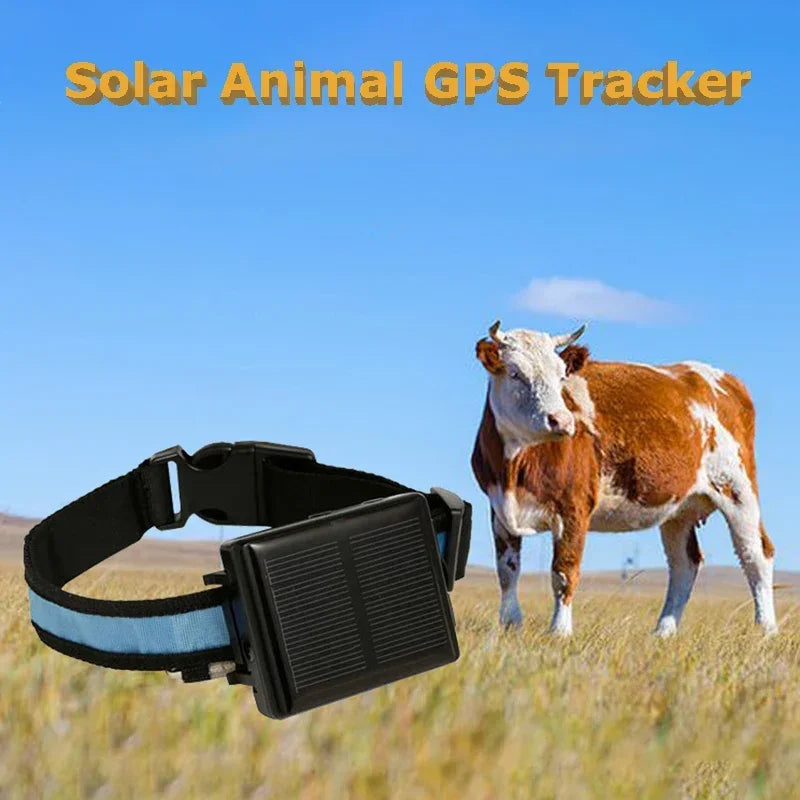 Solar-Powered GPS Livestock Tracker with Anti-Removal Alarm for Cattle, Sheep & Horses