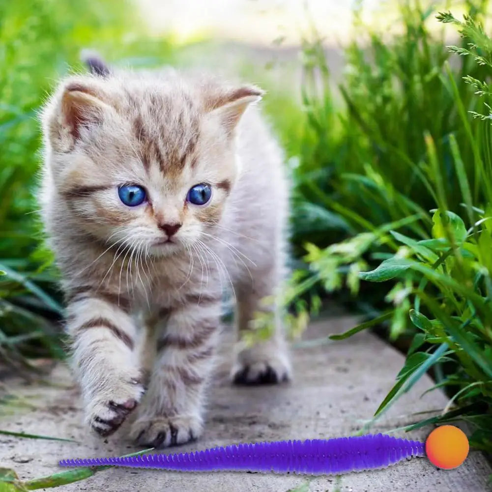 Fluffy Tail Bouncy Ball Cat Teaser Toy — Elastic Simulation Prey Bite Tool