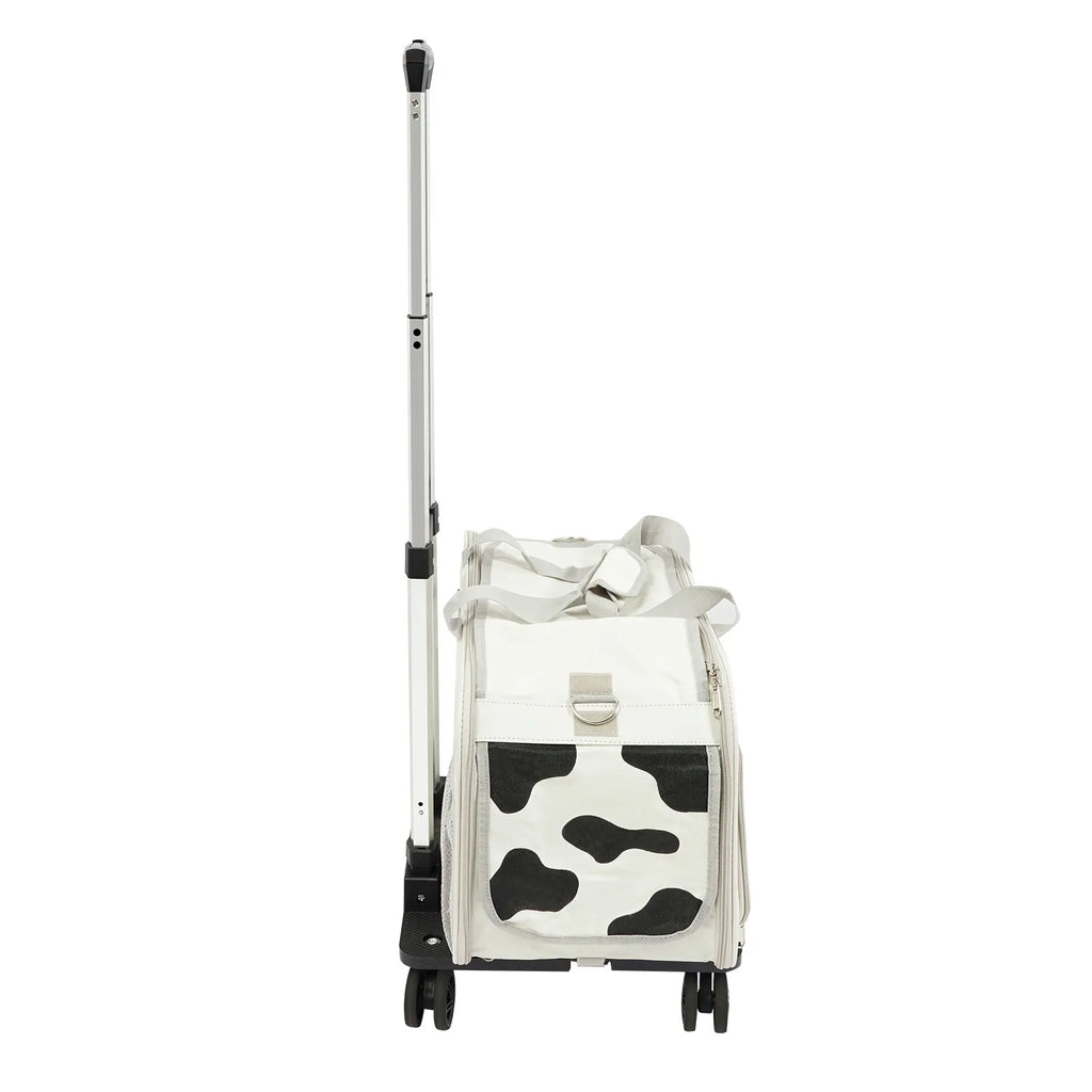 Pets Go Out with Portable Trolley Cases Suitcases for carrying cats up to 22.05 lbs small dogs up to 16.53 lbs