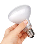 Reptile UVA+UVB Lamp Bulb 25W/40W/50W/60W/75W/100W Pet Brooder Heat Daylight Lamp Turtle Lizard Terrarium Temperature Controller
