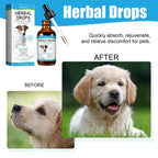 Pet Herbal Cough Relief Drops (Throat Soothe, Immunity Boost, Cats & Dogs)