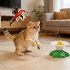 Electric Rotating Butterfly & Hummingbird Cat Teaser Wand — Automatic Flying Kitten Toy