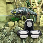 Gecko Feeder Ledge with Detachable Suction Cup Reptile Feeding Dish for Lizard Tortoise Spider Reptile Tank Accessories
