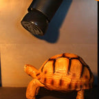 Ceramic Heat Emitter Reptile Heat Lamp Pet Heating Lamp 220-240V Infrared Ceramic Emitter Heat Light Bulb Pet Brooder Chickens