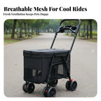 Foldable Dog Carriage Sturdy Oxford Material Large Pet Carrier Dog and Cat Carriage Lightweight Foldable Cat Carrier
