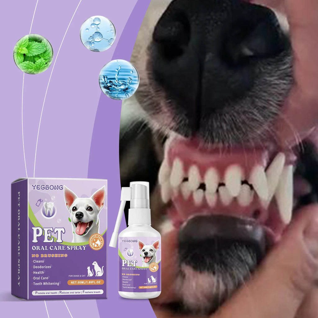 Pet Flea Spray Effectively Removing Fleas Ticks Relieve Skin Itching Natural Ingredients Non Irritating Dog & Cat Flea Repellent
