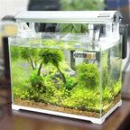 Waterproof Electronic Aquarium Thermometer (Digital LCD, Precise Temp, Fish Tank Probe)