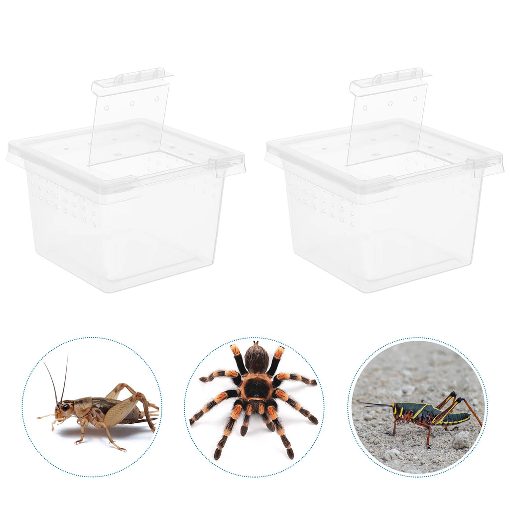 100 Pcs Pet Feeding Box Acrylic Terrarium Reptiles Lizard Spider Cage Kennel Animals Food Incubator Tank
