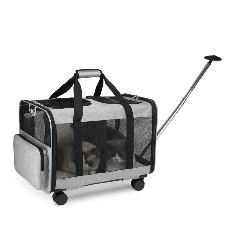 2026 Double-layer Pull-out Pet Bag, Single Shoulder Handheld Backpack, Portable Outdoor Travel Carrier for Cats & Dogs