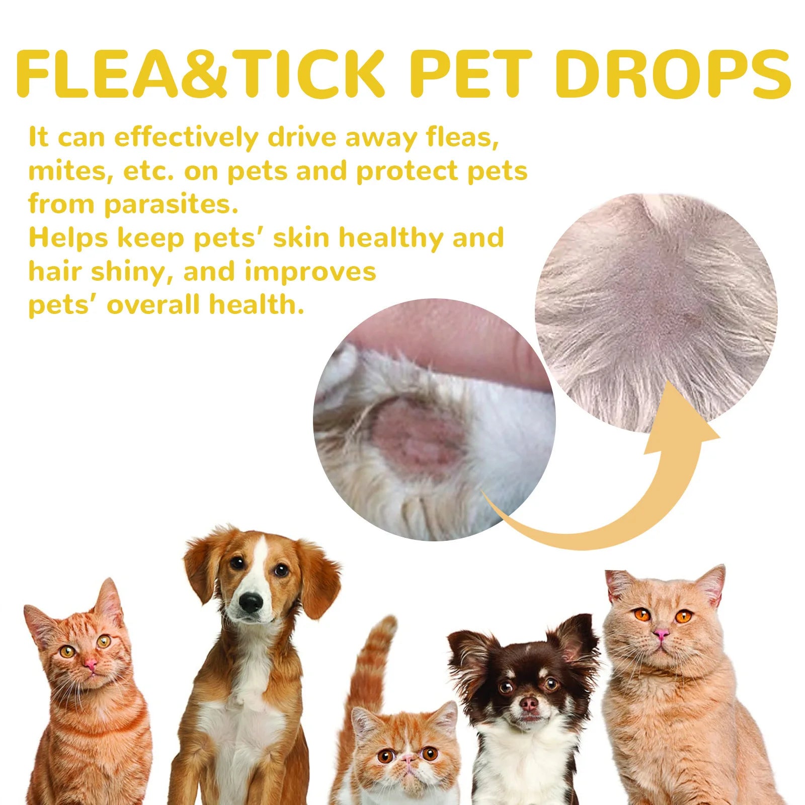 Anti-Flea Treatment Drops for Cats and Dogs (Tick & Lice Remover, Multi-Size)