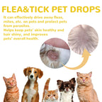 Cat Anti Flea Drops Flea Lice Remove Relieve Skin Itching External Insect Repellent Deworming Supplies Pet Tick Treatment Drops