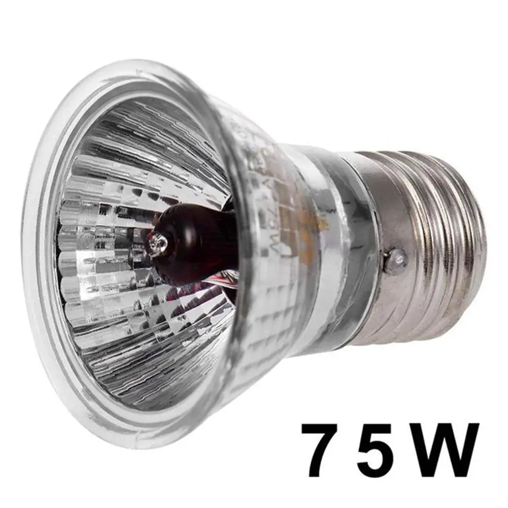 220V 25/50/75W UVA+UVB Reptile Lamp Bulb Turtle Basking UV Light Bulbs Heating Lamp Amphibians Lizards Temperature Controller