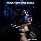 Mini GPS Pet Activity Tracker for Dogs & Cats - Apple Find My Compatible Anti-Loss Finder with No Monthly Fee