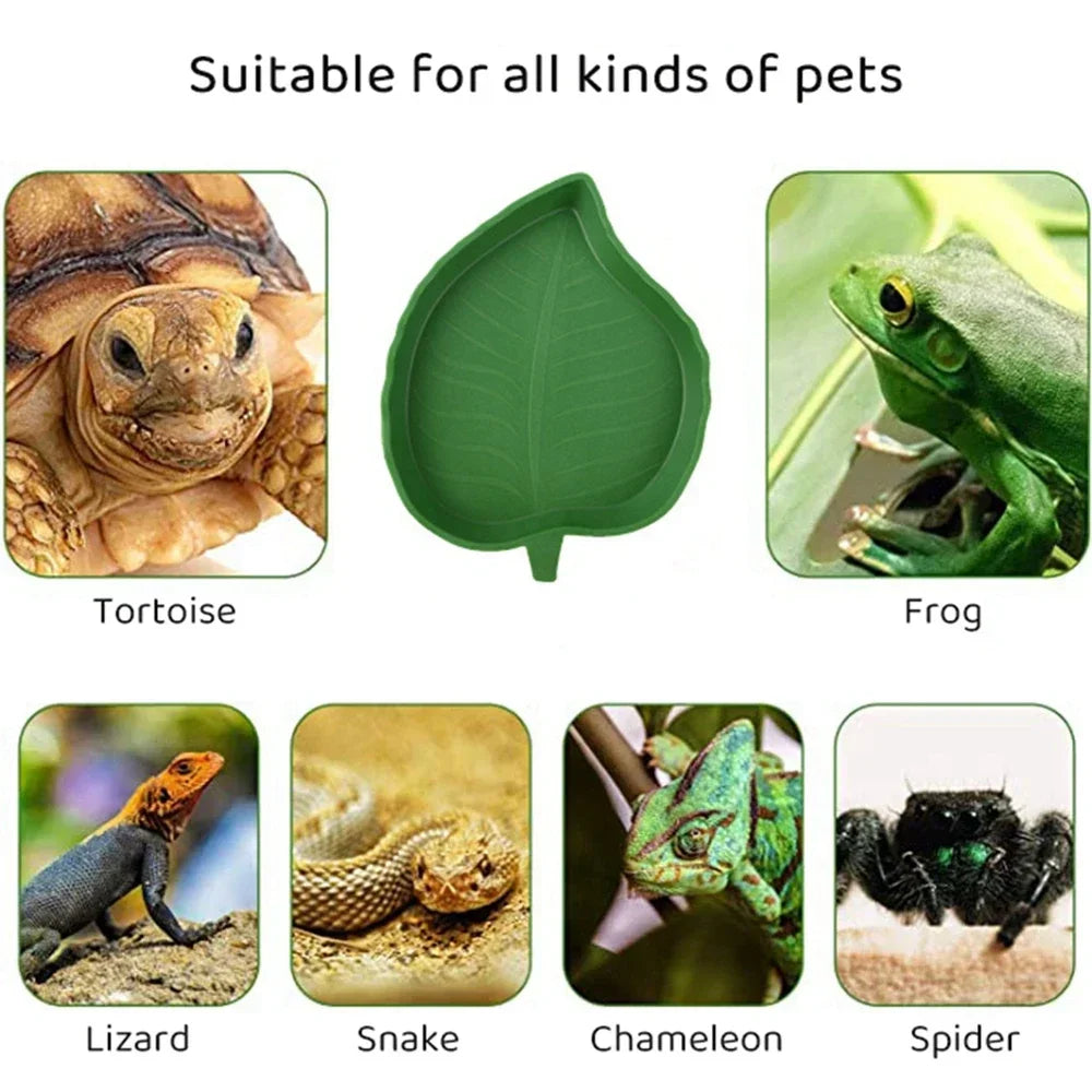 Reptiles Feeder Plastic Leaf Shape Reptile aquarium feeding basin Turtle habitat accessories water tray Small pet feeder Pet Sup