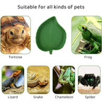 Reptiles Feeder Plastic Leaf Shape Reptile aquarium feeding basin Turtle habitat accessories water tray Small pet feeder Pet Sup