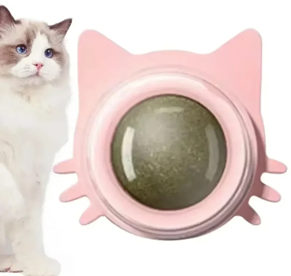 Natural Catnip Wall-Spin Ball Cat Toy — Mint Digestive & Dental Stimulator