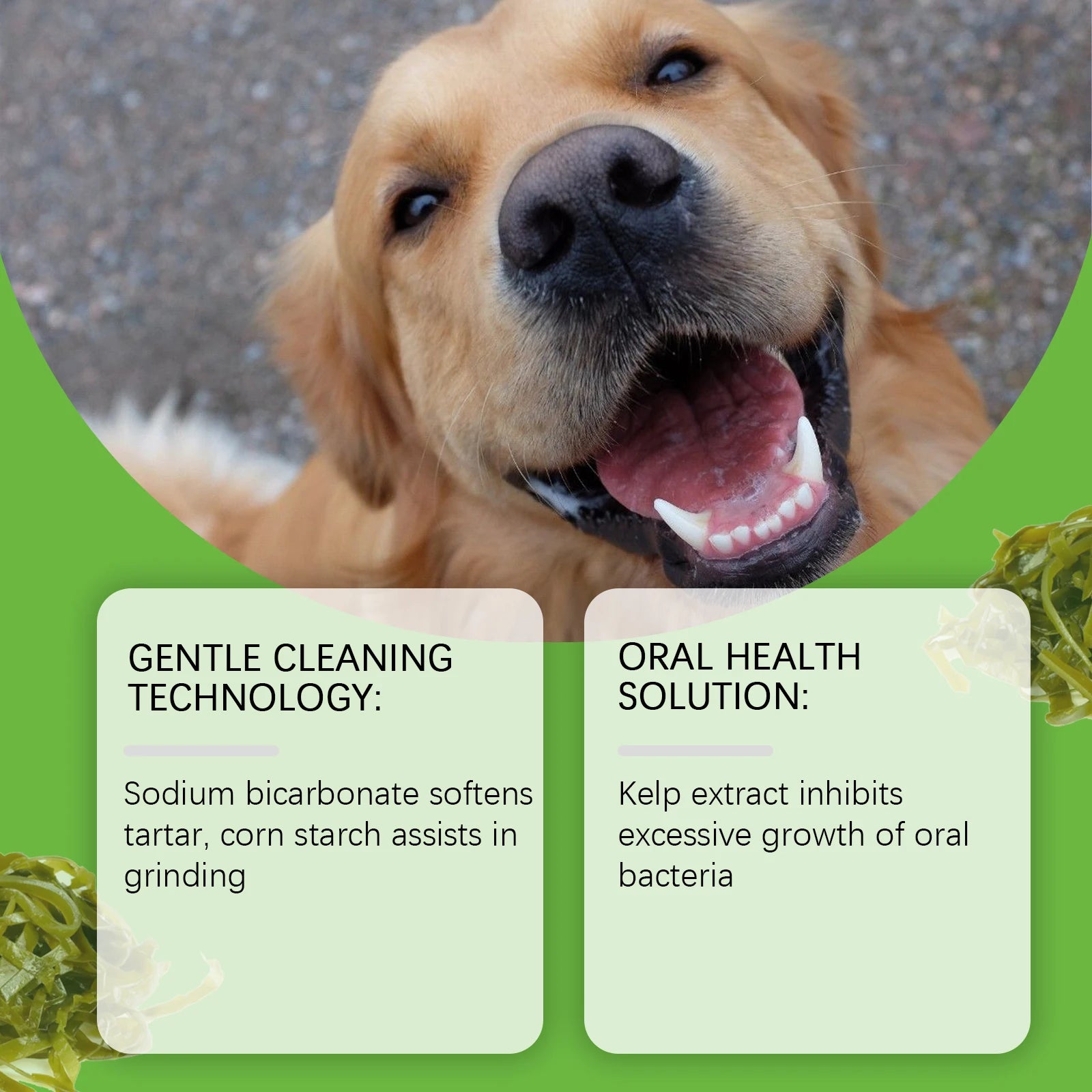 Yegbong Dog-Specific Teeth Cleaning Powder – Freshens Breath, Prevents Oral Diseases,Non-Irritating, Suitable for Sensitive Gums