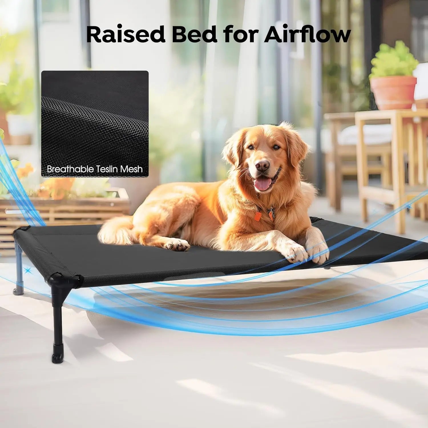 Cooling Elevated Dog Bed with Bolster Cushion (42x30in, Black)